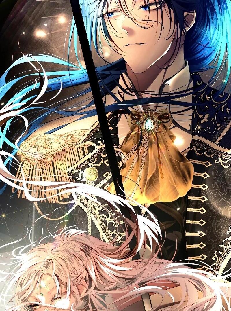 74288259 800 1080 241629